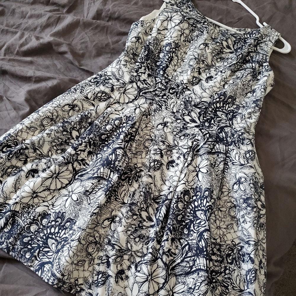 Zara white and navy dress